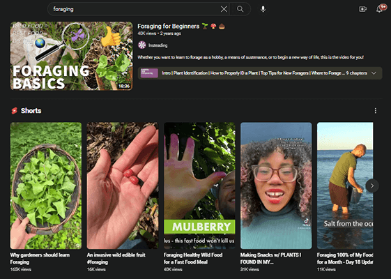 02 foraging search youtube