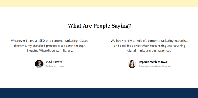 04 social proof section bloggingwizard