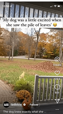 08 add captions to videos