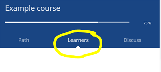 13 course player learners