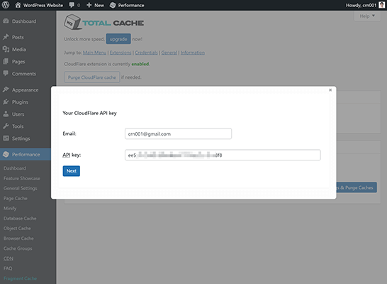19 Enter API key into W3 Total Cache
