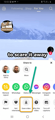 alternate ways to repost on tiktok save video
