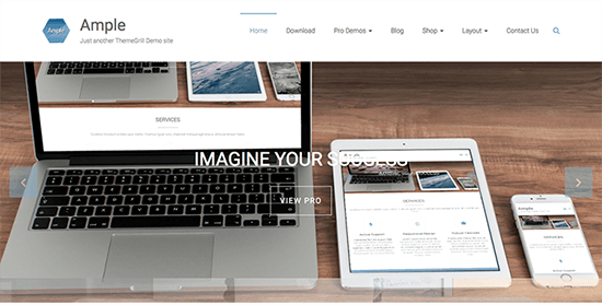 Ample Theme