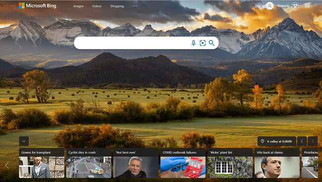 Bing Screenshot
