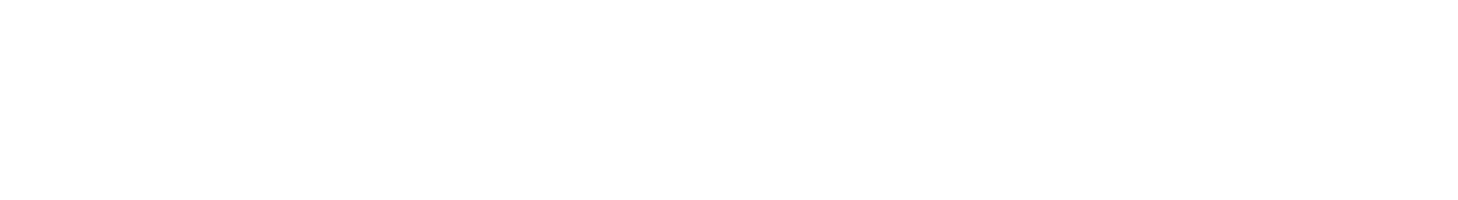 bloggingwizard logo - white