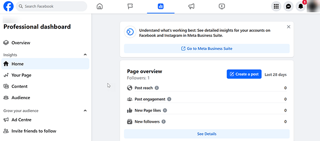 Facebook Insights Home