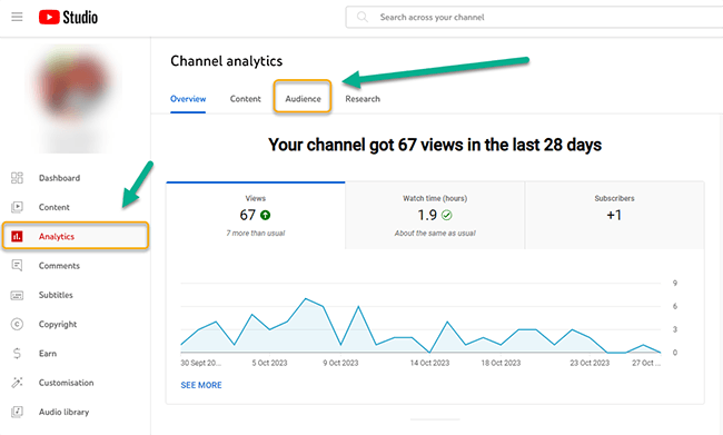 Find your audience’s peak times - Audience tab