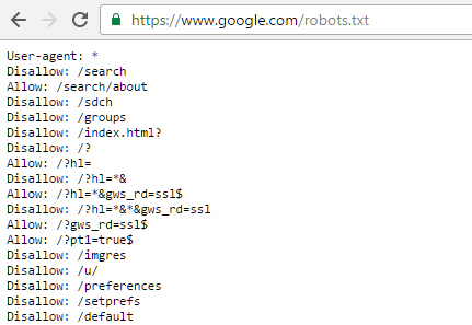 Google Robot.txt File