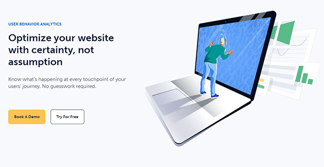 mouseflow homepage