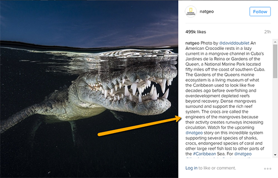 Nat Geo Post Example 1
