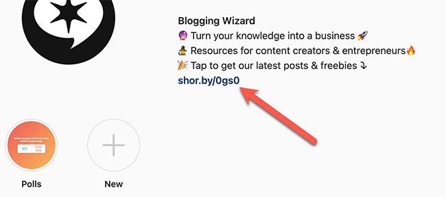 optimize your bio link example