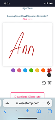 organize your emails wisestamp example