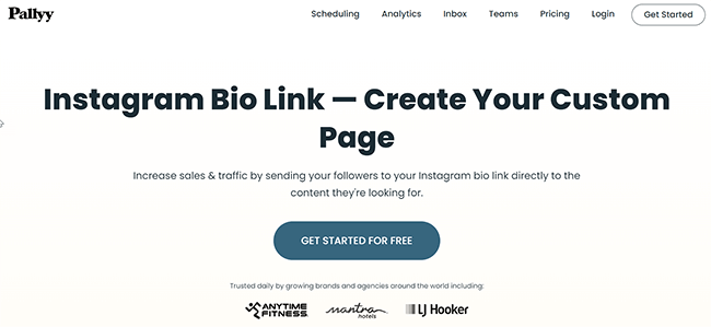 Pallyy Bio Link Homepage