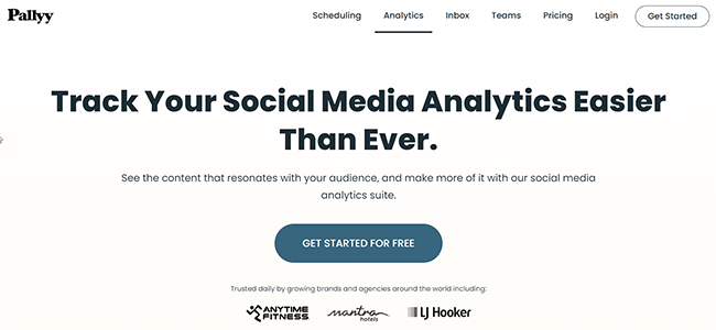 Pallyy analytics Homepage