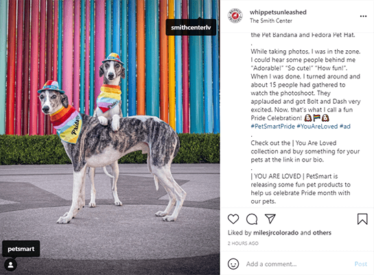 petsmart instagram sponsored post example