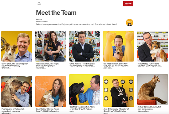 Petplan Pinterest Meet The Team