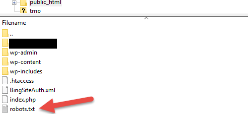 Robot.txt File