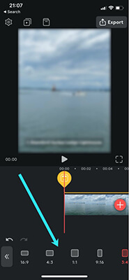 Videoleap put together videos