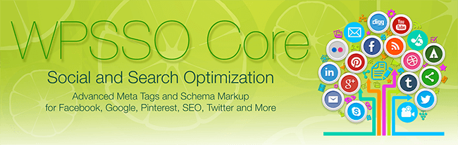 wpsso core example