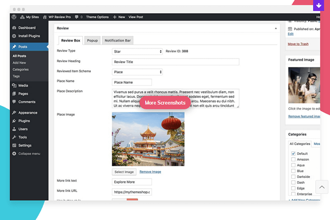 wordpress review example
