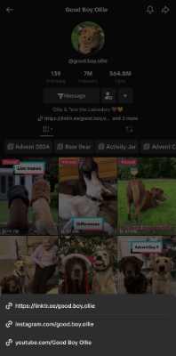 good boy ollie tiktok profile links