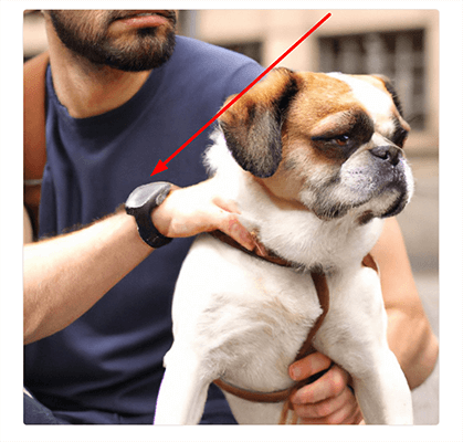 man and dog