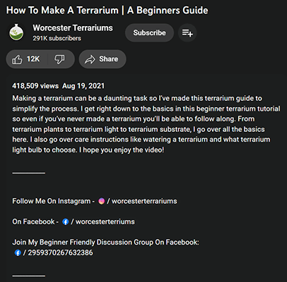 youtube video description example